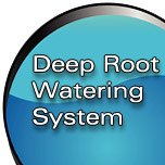 Deep Root Watering System Study
