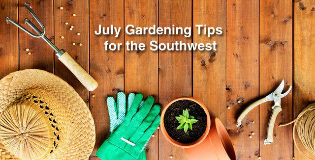 July Gardening Tips for The Southwest