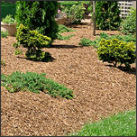 How to Choose the Right Mulch for Your Landscaping - Part 2