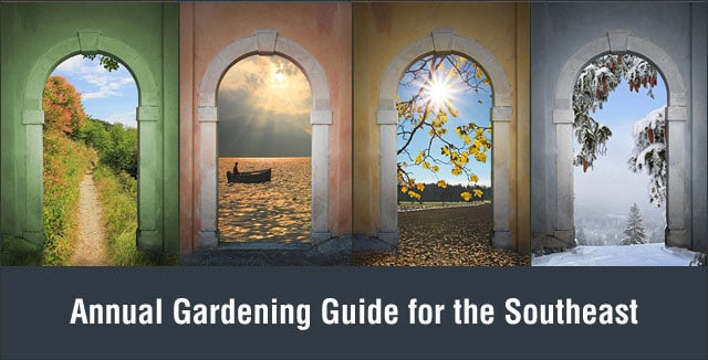 Annual Gardening Guide for the Southeast
