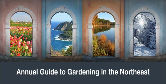 Annual Guide to Gardening in the Northeast