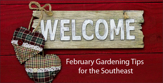February Gardening Tips for the Southeast