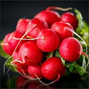 How to Grow Radishes in 5 Simple Steps