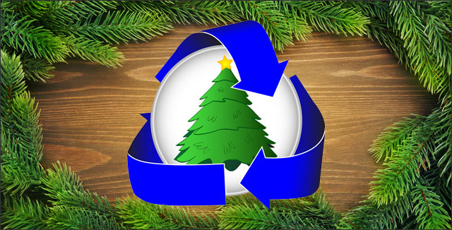 5 Ways to You Can Recycle Christmas Trees