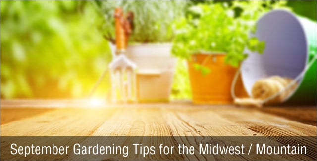 September Gardening Tips for the Midwest / Mountain