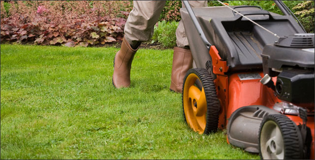 Strategies to Bring Your Spring Lawn Back to Life